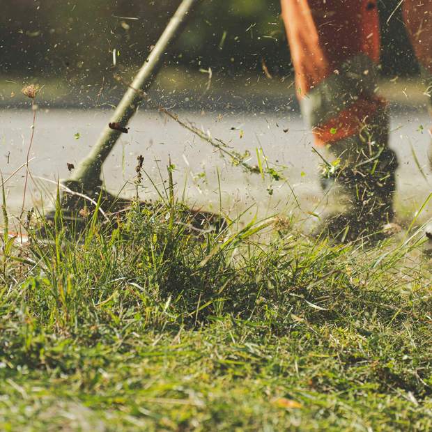 A string trimmer cutting the grass edge, clippings flying.